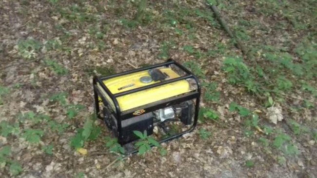 На Волині знову зловили «чорних лісорубів». ФОТО