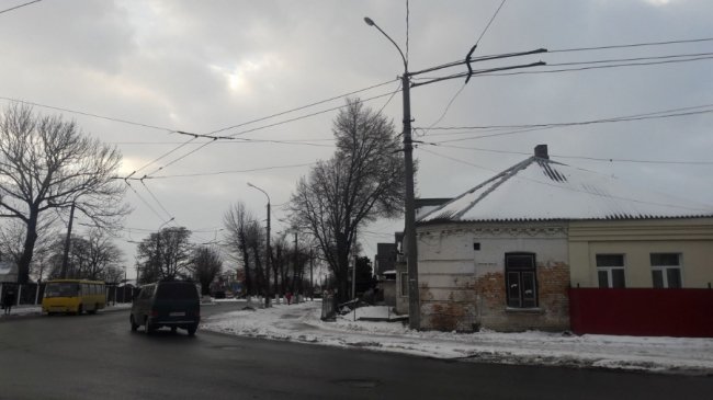 Може впасти на людей: лучанин просить зрізати аварійне дерево. ФОТО