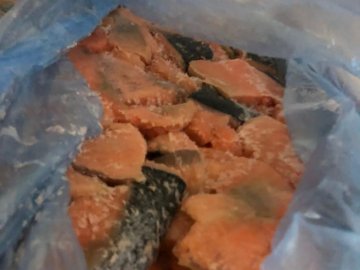 Через «Ягодин» намагались незаконно провезти майже пів тонни червоної риби