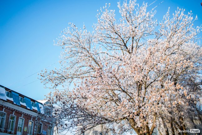 Луцьк – у кришталевій паморозі: казкові світлини різдвяного ранку. ФОТО