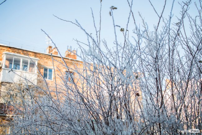 Луцьк – у кришталевій паморозі: казкові світлини різдвяного ранку. ФОТО