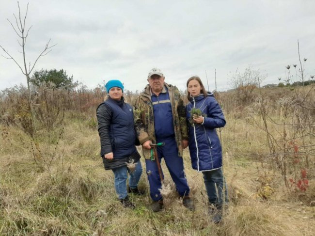 Поблизу Луцька екоактивісти висадили за один день понад тисячу дерев. ФОТО