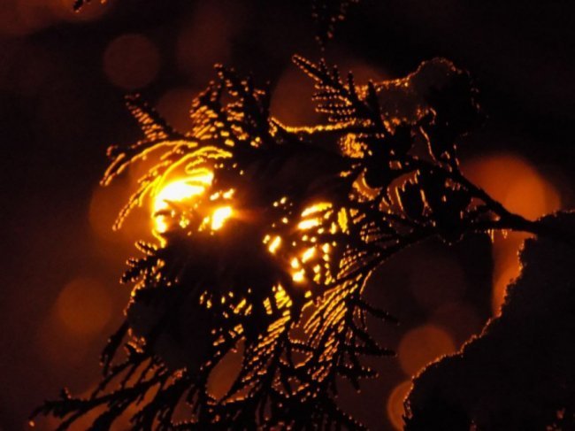 Краса вечірнього Берестечка: зворушливі фото