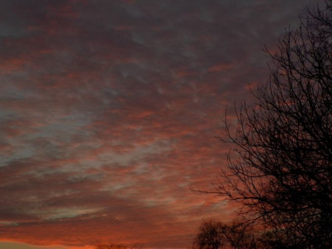 Краса вечірнього Берестечка: зворушливі фото