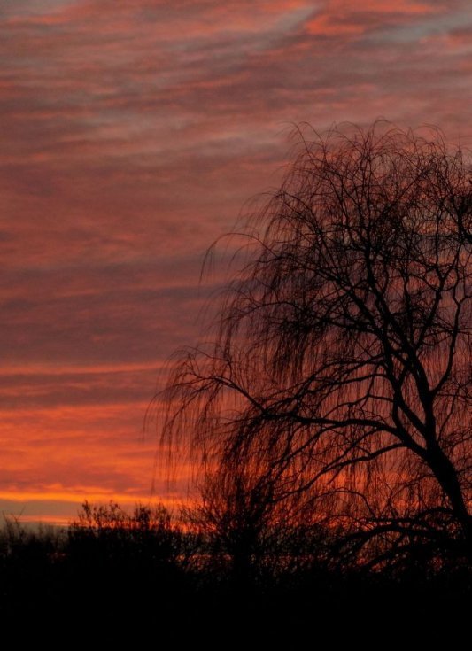 Краса вечірнього Берестечка: зворушливі фото