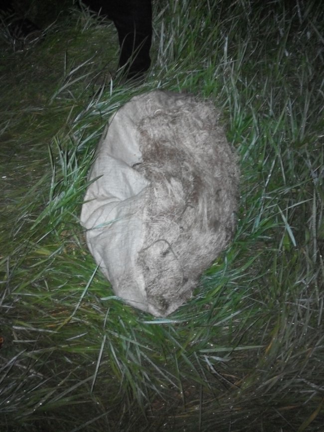 У 2019 році рибні браконьєри на Волині завдали шкоди на 70 тисяч гривень