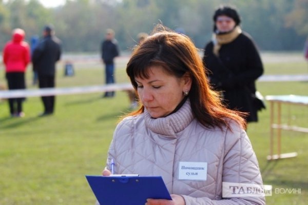 Луцький іподром перетворився на справжнє царство тварин. ФОТО