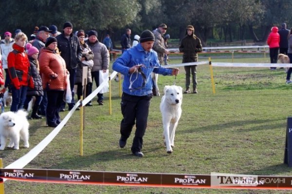 Луцький іподром перетворився на справжнє царство тварин. ФОТО