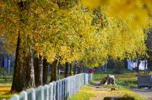 Осінній Луцьк. ФОТО