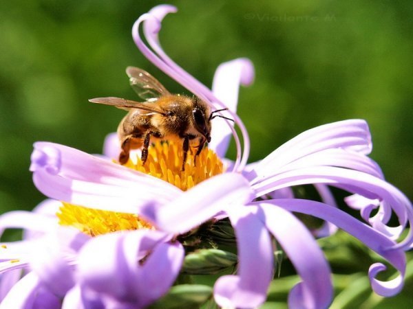 Фотовиставка Сергія Руденка
