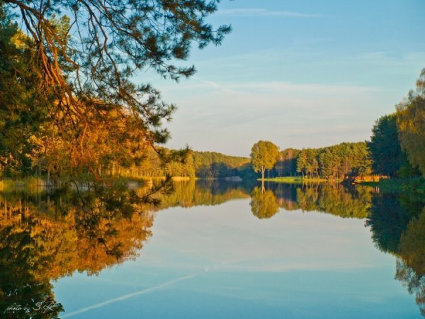 Золота осінь. 10.10.10. Фото зроблене десятого жовтня 2010 року