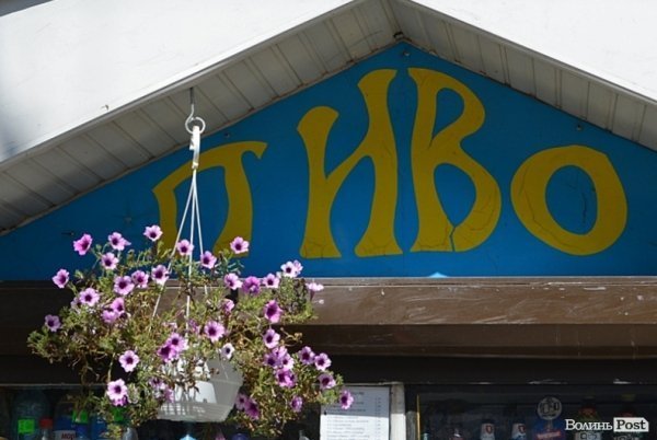 Місто, яке я люблю. Квіти Луцька