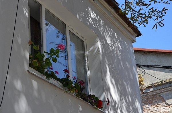 Місто, яке я люблю. Квіти Луцька