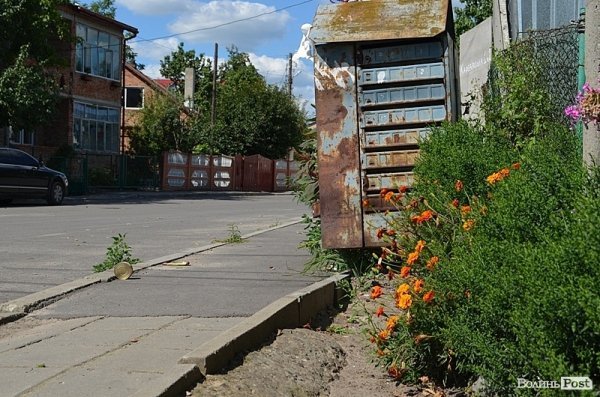 Місто, яке я люблю. Квіти Луцька