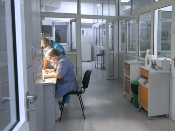 Власників худоби у Луцьку зобов’язали перевірити її на небезпечну хворобу