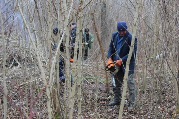 У Луцьку прибрали парк імені Лесі Українки. ФОТО