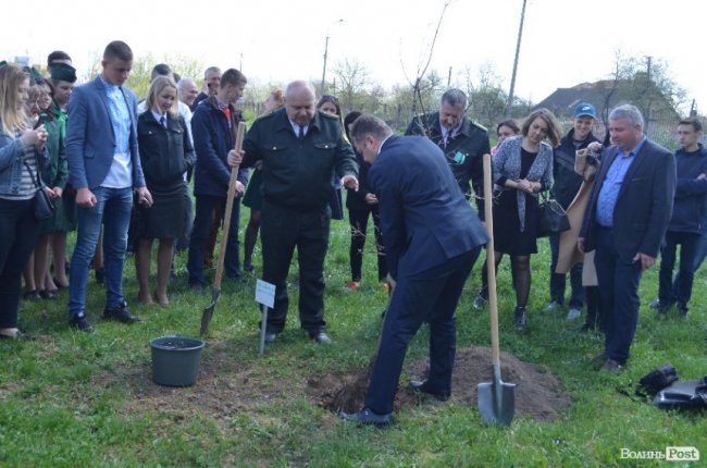 Релігійний флешмоб та масові толоки. Добрі новини Волині