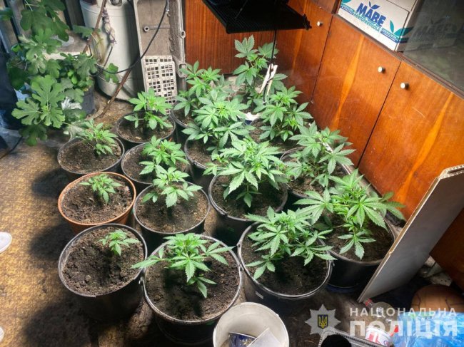 У 42-річного волинянина вилучили наркотичних речовин на мільйон гривень