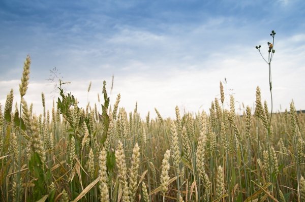 Фотовиставка Василя Охріменка