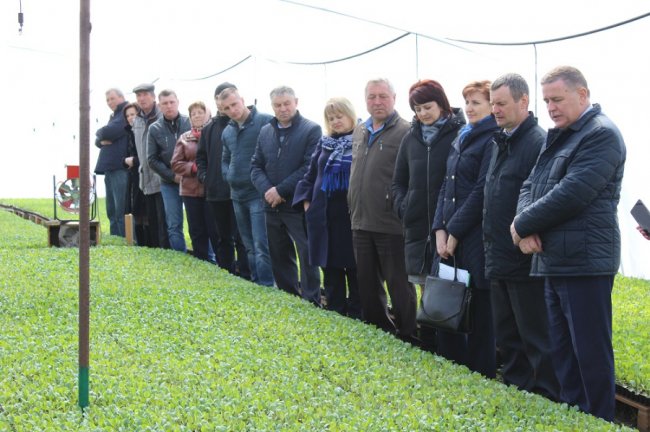 Малина, полуниця, цибуля: як на Волині фермери вирощують органічну продукцію