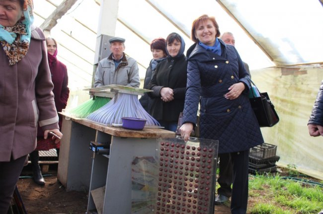 Малина, полуниця, цибуля: як на Волині фермери вирощують органічну продукцію