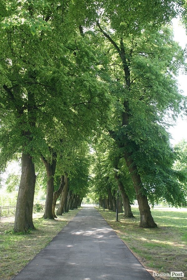 В Устилузі завершують реставрацію садиби Стравінського. ФОТО