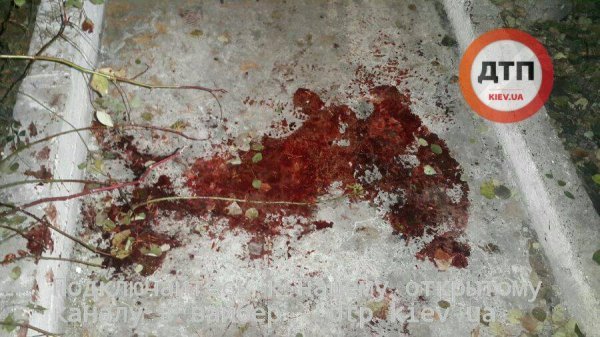 Стрілянина у Києві: тяжко поранені чоловік та жінка