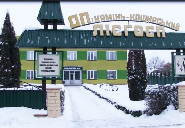 На Волині розбудовують лісові дороги. ФОТО