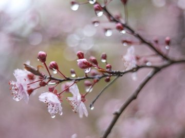 До України суне похолодання: синоптикиня назвала точні дати