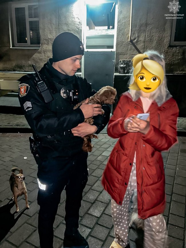 Зворушливий збіг обставин: у Луцьку господарям повернули зниклого песика