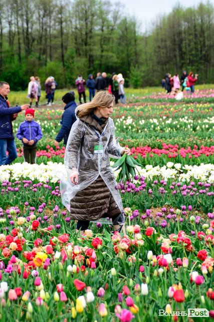 Попри негоду «Волинська Голландія» гостинно зустрічає гостей. ФОТО