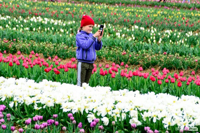 Попри негоду «Волинська Голландія» гостинно зустрічає гостей. ФОТО
