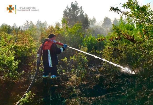 На Волині за добу погасили 4 пожежі. ФОТО