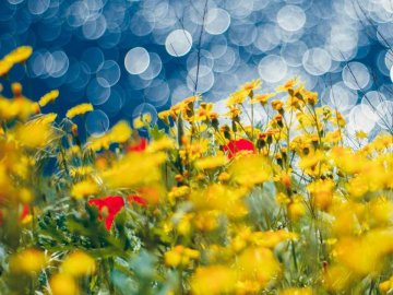 Добрі новини від ВолиньPost за 2 липня