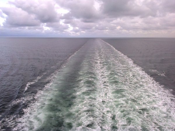 Північне море, серпень 2012 року. Сивина навислих хмар, сірі води морського безкраю пропорює лише пінистий слід парому. Відчуваєш себе самотнім кошеням у холодному світі і так хочеться додому до мами. Автор Ольга Харів