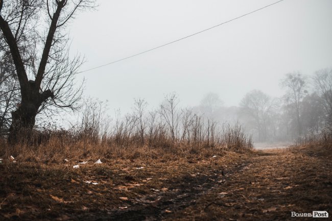 Туманно-сіра краса у Луцьку. ФОТО