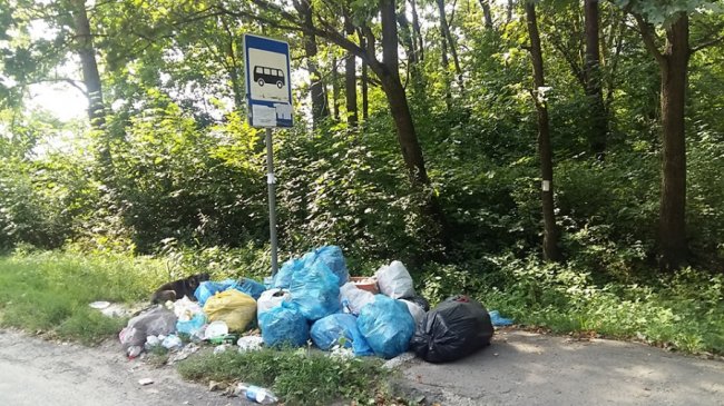 На Волині невідомі сміттям закидали зупинку. ФОТО