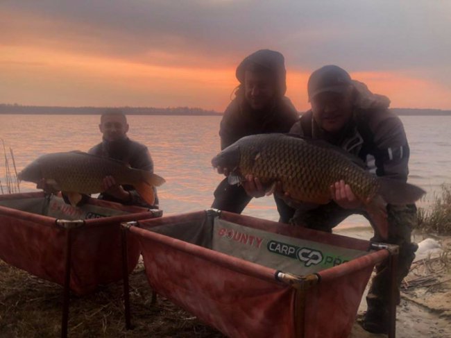 У волинське озеро запустили величезних коропів. ФОТО