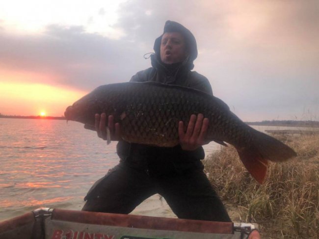 У волинське озеро запустили величезних коропів. ФОТО