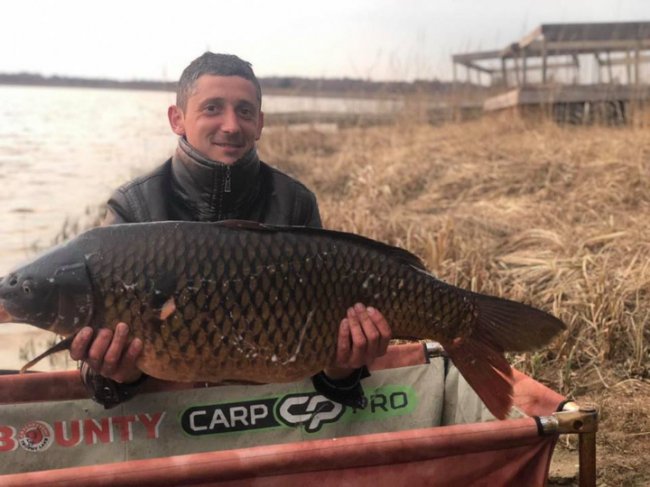 У волинське озеро запустили величезних коропів. ФОТО