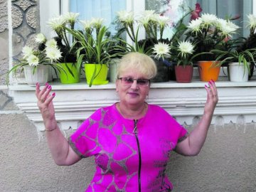На Волині у матері захисника в один день зацвіло аж 25 кактусів