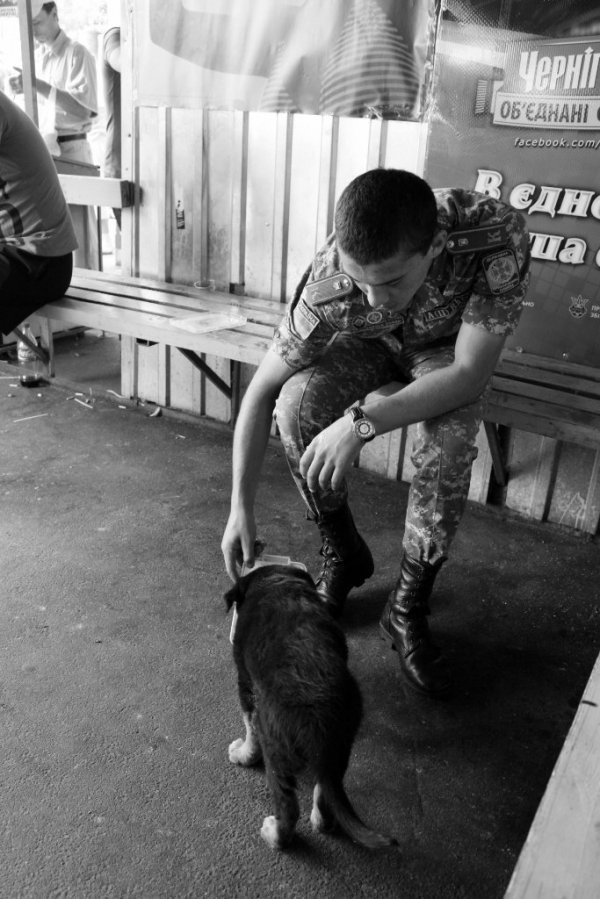 Фотовиставка Анни Лучії Лобос