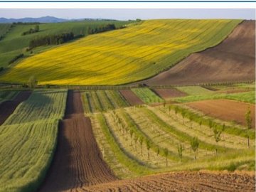 На Волині сільраді повернули земельну ділянку вартістю понад 4 мільйони