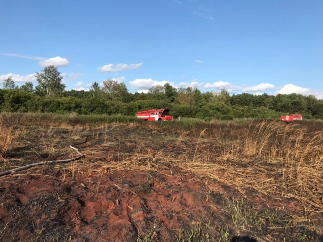 На Волині горить торф'яник: працюють пожежники. ФОТО