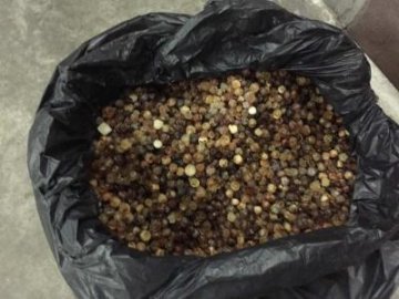 Волиняни намагалися вивезти в Польщу бурштин