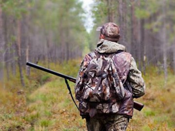 Вбивство благородного оленя у Луцькому районі розслідує поліція
