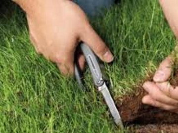 На Волині  прокуратура повернула державі землю вартістю 350 тисяч 