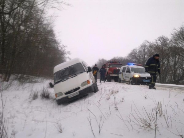 На Волині з траси злетів мікроавтобус