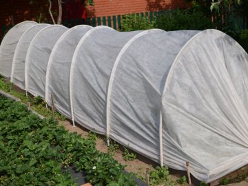 У Луцьку демонтують парник