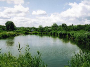 У Луцькому районі незаконно викопали ставки